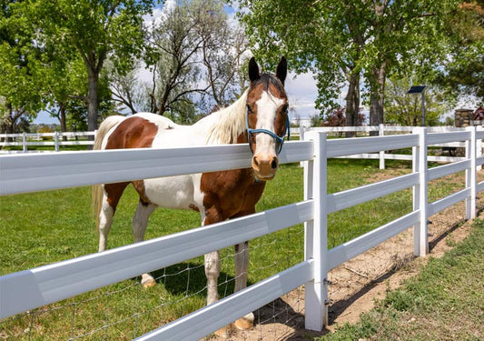 Vinyl Livestock Fencing