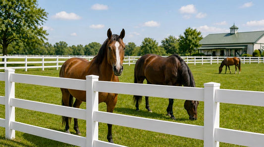 Vinyl Fencing for Horses